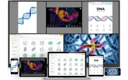 Інтерактивна панель SMART GX165-V3 - СМАРТ. Інтерактивні технології в освіті