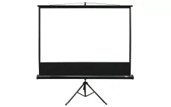 Екран для проєктора ElitScreens 203,2X152,4 - СМАРТ. Інтерактивні технології в освіті