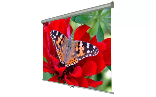 Екран для проєктора Walfix 110X145 - СМАРТ. Інтерактивні технології в освіті